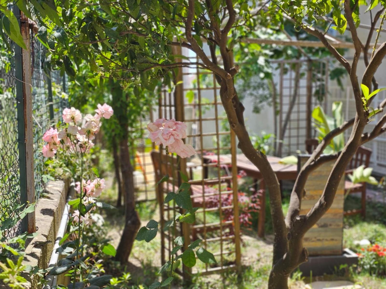 קטנזארו Prestige Casa Vacanze מראה חיצוני תמונה